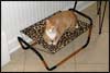 Abo The Hammocat