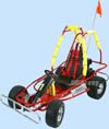 Bocart Cobra Grass King 9 Gocart 2013 104