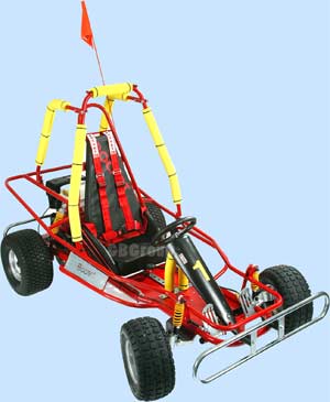 petrol gokart
