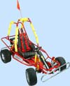 Bocart Panther Savanah Gokart