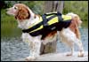 Professional Dog Buoyancy Aid 0420