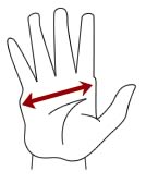 Camaro Gloves Sizes