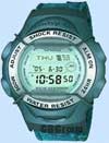Casio Bg-173v-2cver -100m