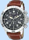 Citizen Perpetual Calendar Model Bl5250-02l