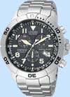 Citizen Perpetual Calendar Model Bl5250-53l