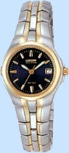 Citizen Eco-Drive Watch Ew004451l