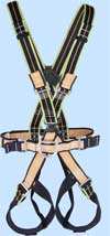 Edelrid Radialis Harness 900 g