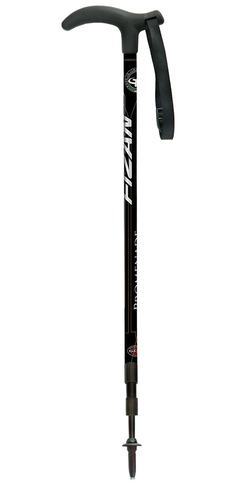 Fizan Classic Trekking Pole