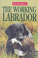 ISBN: 1840372524