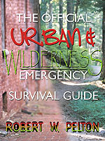 ISBN: 0741409461