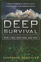 ISBN: 0393052761
