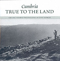 ISBN: 1841143944