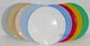 Polycarbonate 24cm Dinner Plate