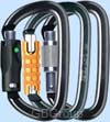 Petzl Am'd Asymmetric Carabiner-Screwgate