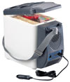 Ring Automotive Rc89100 6-Litre Travel Cooler