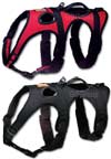 Ruffwear Web Master Harness