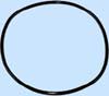Main O Ring