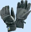 Sealskinz Winter Technical Waterproof Glove