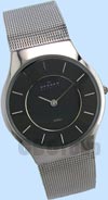 Skagen Steel Watch 233lssb