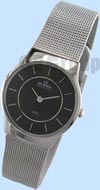 Skagen Steel Watch 233sssb