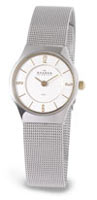 Skagen 233xsgsc Ladies' Steel Watch