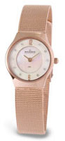 Skagen 233xsrr Ladies' Steel Watch