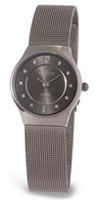 Skagen Ladies' Titanium Watch SK233XSTTM