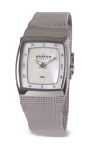Skagen Ladies' Steel Watch SK380SSS