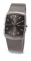 Skagen Gents' Titanium Watch SK396LTTM
