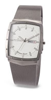 Skagen Gents' Titanium Watch SK396LTTW