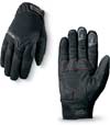 Dakine Storm Rider GoreTex Bike Gloves