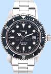 Timex Gents' Watch T29781