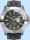 Timex Perpetual Calendar Watch T2j081