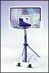 Lifetime Portable Basketball Net Poolside 1301