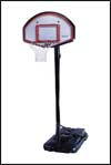 Lifetime Portable Basketball Action Grip 41488