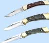 Buck Hunter Folding Knives