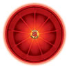 Nite Ize Dog Discuit LED Flying Disc