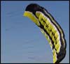 Firebird Polaris Quad Line Powerkite 2.0