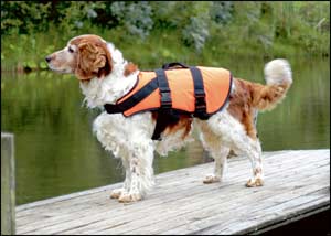 Baltic Pet Buoyancy Aid