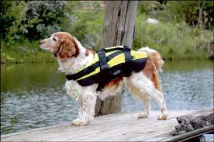 Baltic Professional Pet Buoyancy Aid