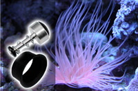 SeaLife DC600 & DC500 Accessories