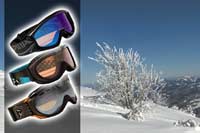Alpina Ski Goggles