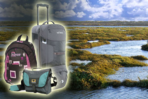 Travel Luggage
