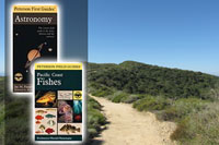 Peterson Field Guides