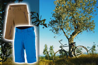 Cycle Legwear