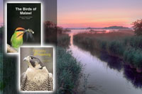 Other Bird Books