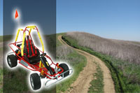 Petrol Go Karts