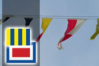 Code Flags