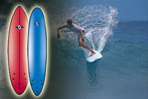Bic Sport Fun Surfboards