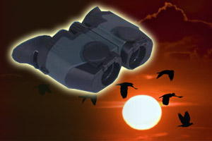Yukon Binoculars